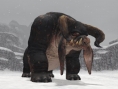 Final Fantasy XI : nouvelles images