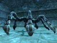 Final Fantasy XI : nouvelles images
