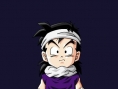 Une tonne de visuels pour Budokai 3