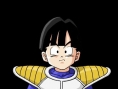 Une tonne de visuels pour Budokai 3