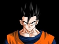 Une tonne de visuels pour Budokai 3