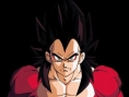 Une tonne de visuels pour Budokai 3