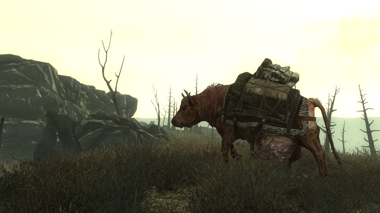 Fallout 3 : des images PC