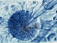 Scrapland : avalanche de visuels