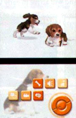 Nintendogs : les premières images