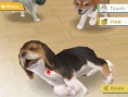 Nintendogs : Quelques détails