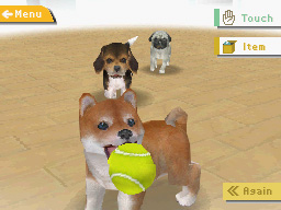 Nintendogs : Quelques détails
