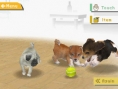 Nintendogs : Quelques détails