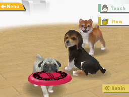 Nintendogs : Quelques détails