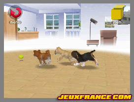 Nintendogs, Attention chien méchant
