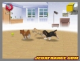 Nintendogs encore au top des ventes