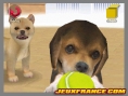 Nintendogs encore au top des ventes