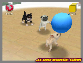 Nintendogs, Attention chien méchant