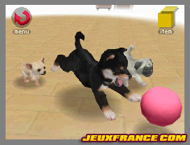 Nintendogs, Attention chien méchant
