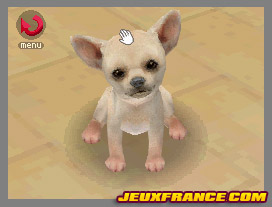 Nintendogs, Attention chien méchant