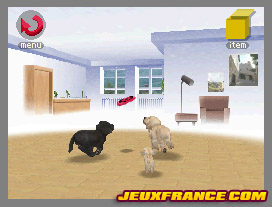 Nintendogs, Attention chien méchant