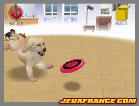 Nintendogs, Attention chien méchant