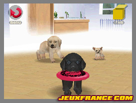 Nintendogs, Attention chien méchant