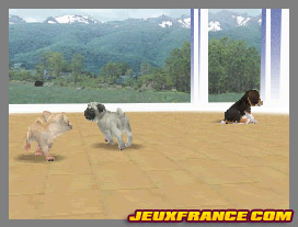 Nintendogs, Attention chien méchant