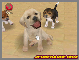 Nintendogs, Attention chien méchant