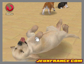 Nintendogs, Attention chien méchant