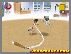 Nintendogs, Attention chien méchant