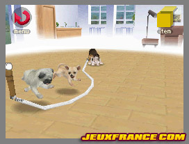 Nintendogs, Attention chien méchant
