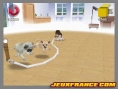 Nintendogs, Attention chien méchant