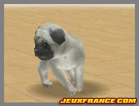 Nintendogs, Attention chien méchant