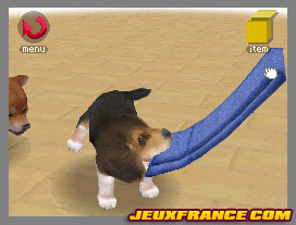 Nintendogs, Attention chien méchant