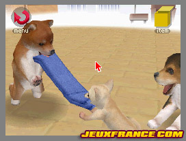 Nintendogs, Attention chien méchant