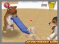 Nintendogs, Attention chien méchant