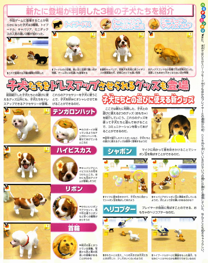 Nintendogs : Scans Famitsu