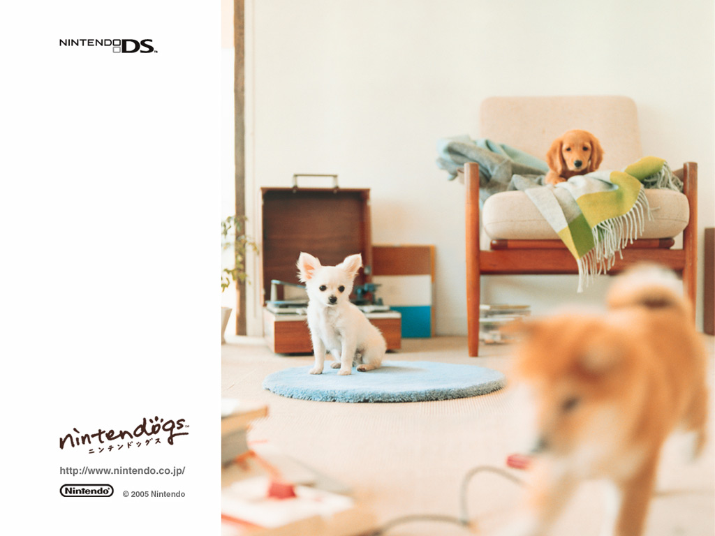 Nintendogs : 3 versions différentes