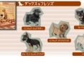 Nintendogs : 3 versions différentes