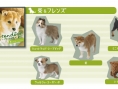 Nintendogs : 3 versions différentes