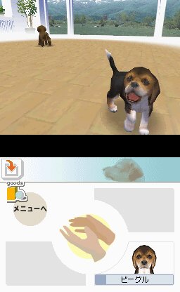 Nintendogs : Plus d'images