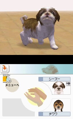 Nintendogs : Plus d'images