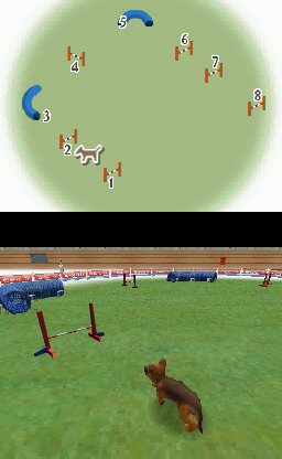 Nintendogs : Plus d'images