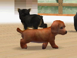 Nintendogs : Plus d'images
