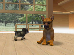 Nintendogs : Plus d'images