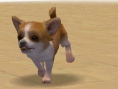 Nintendogs