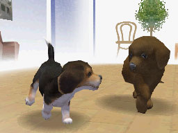 Nintendogs : Plus d'images