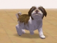 Nintendogs