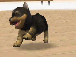 Nintendogs : Plus d'images