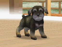 Nintendogs : Plus d'images