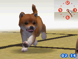 Nintendogs : Plus d'images