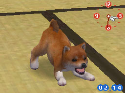 Nintendogs : Plus d'images