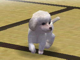 Nintendogs : Plus d'images