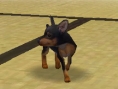 Nintendogs